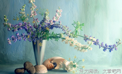 《可惜不是你》经典句子大全
