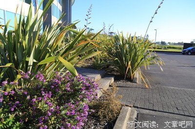 《哥舒夜带刀》语录摘抄