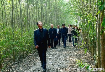 15条关于和稀泥的经典语句