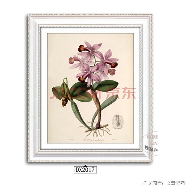 关于林格的名句摘抄