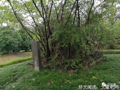 汪中的句子