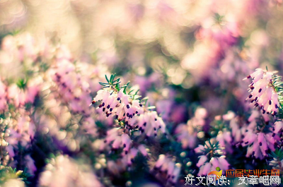 青春的优美句子