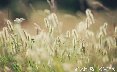 幸福的婚姻，绝不是偶然