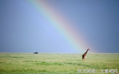 最全的《沉默的告白》好段摘抄大全