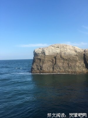 阿汤：我自北方来