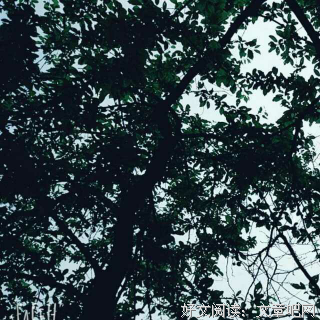 最全的《相思莫相负》语录摘抄