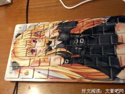 最新的《重生喵喵喵》小说句子