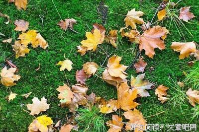 最经典的《向着光亮那方》经典句子