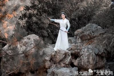 梦对要了把也寻才金不却生军看千百度经典名句