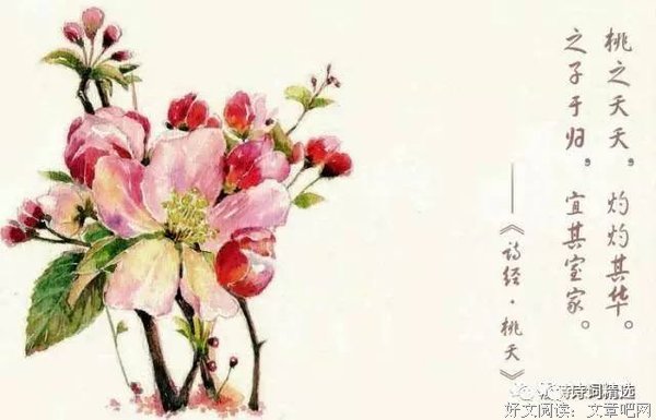 开便个子于归经典的句子