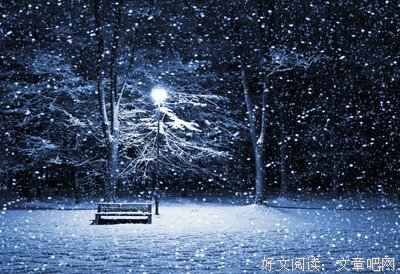 关于会上说了些什么的优美句子