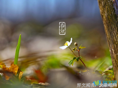 集锦句子大全