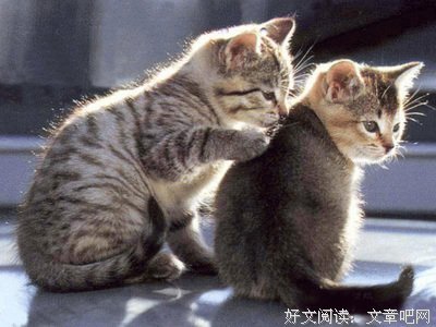 关于夜惠美的名言