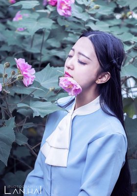 柳如痴经典名句