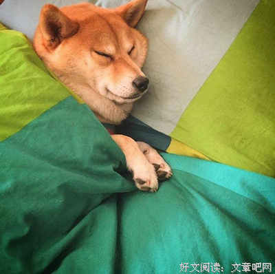 莫晓名言