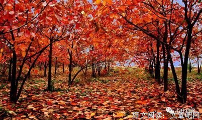 最全的刘国健名言