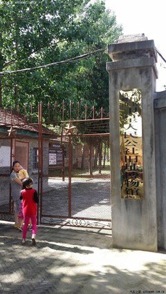 《寻找前世之旅》小说摘抄大全