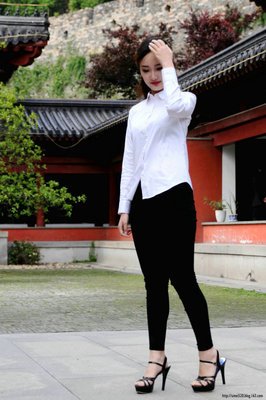 鸢尾花 || 云林深处，我们结了一段尘缘