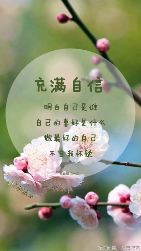 最新的《治蚁少帅空间》语录摘抄