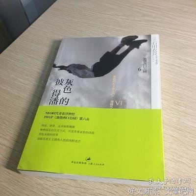 最全的《灰色的彼得潘》经典语句