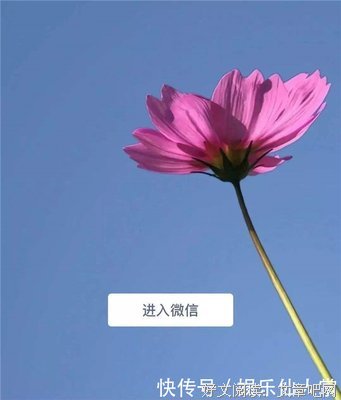 微信3个新功能，暴露了谁在爱你