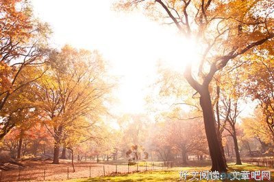 《追忆似水年华》好段摘抄