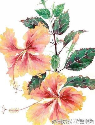 最新的《夏天19岁的肖像》经典语句大全