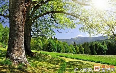 最新的《人间正道是沧桑》语录摘抄大全