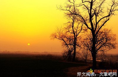 最经典的《何处暖阳不倾城》经典句子