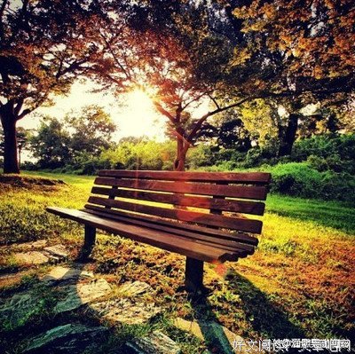 情书 | 喜欢你，我从未后悔过