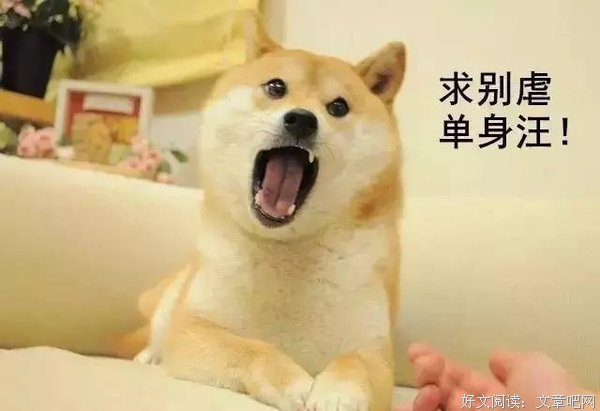 最全的《单身公主相亲记》好段摘抄大全