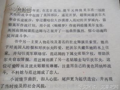 最全的《只是蝴蝶不愿意》经典语句