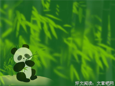 《如果蜗牛有爱情》佳句摘抄