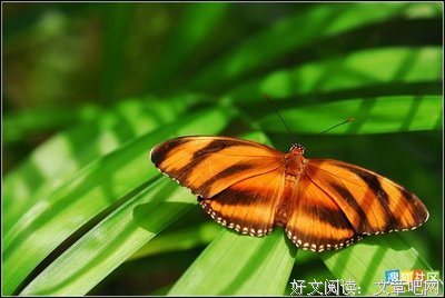 最新的《妻子太忙不是错》经典名句