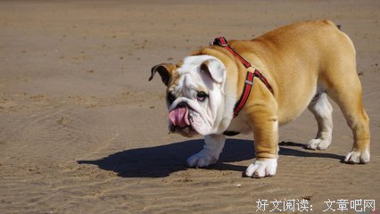 最经典的《当时只道是寻常》语录摘抄大全