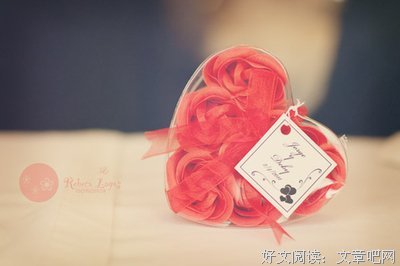 最全的《最难消受美人恩》小说句子大全