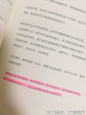 最全的《离开前请叫醒我》好段摘抄