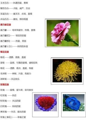 《红玫瑰与白玫瑰》小说摘抄