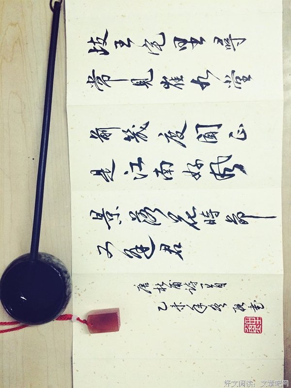 最全的《落花时节又逢君》小说摘抄