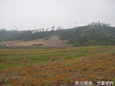 关于下田的语句