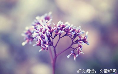 关于特殊的座右铭