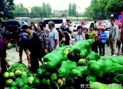 子白的语句摘抄_关于子白的语句