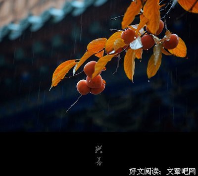 关于斜风细雨的座右铭