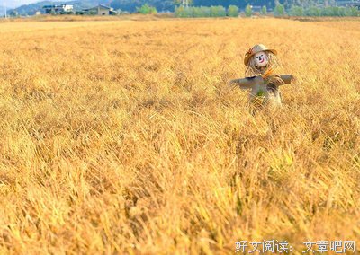 下周重要星象（12.31—1.06）