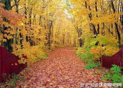 关于窃谓欣欣子的优美句子
