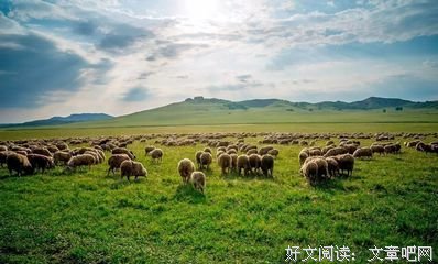 最新的孤君的名言
