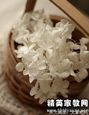 最新的六六的名句