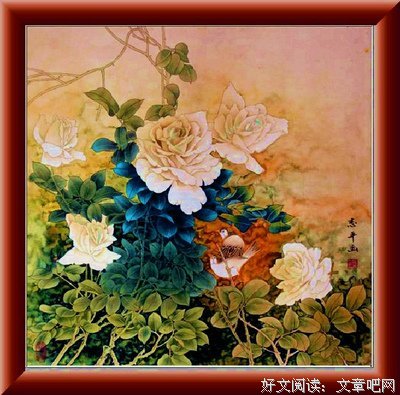 最新的《岁月静好 现世安稳》好段摘抄