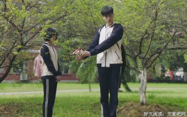 最新的《致我们单纯的小美好》小说句子