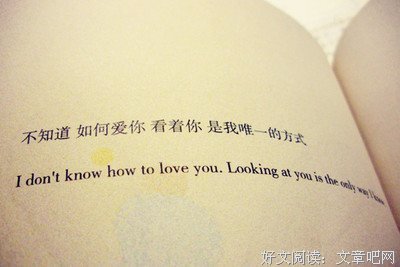 最经典的《这些都是你给我的爱》经典句子大全